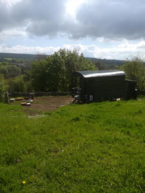 Serendipity Shepherd Hut